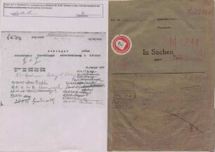 Schlegel, Albert