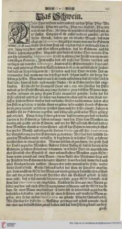 Das Schwein