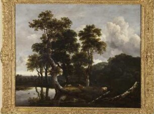 Große Baumgruppe am Wasser