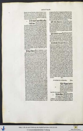 De duobus reis constituendis