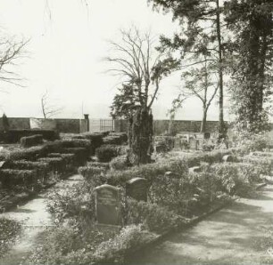Friedhof Serkowitzer Straße