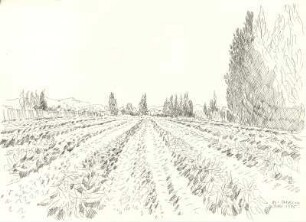 Feld in Tarascon