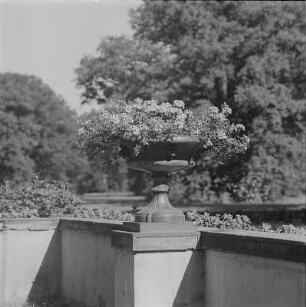 Branitzer Park