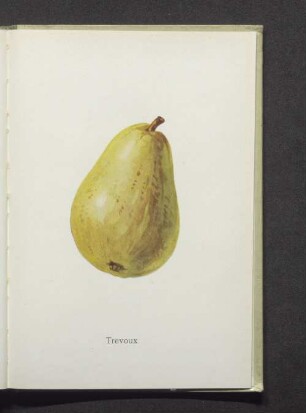 Trevoux