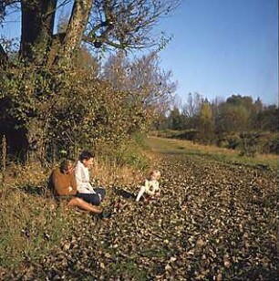 Hansjakob, Gottfried; München - Oberföhring; Isarinsel - Isarinsel, Spazierweg im Herbst, Aufnahme mit Spaziergängern