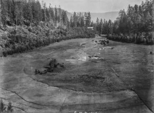 Parkanlage : Blick auf eine Parkanlage mit einem Teich