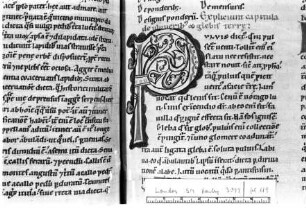 Rankeninitiale P, Folio 119 recto