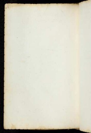 204v-205v, Leerseiten