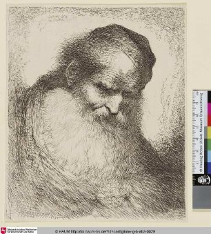 Un vieillard à longue barbe, vu presque de face, et tourné vers la droite [Kopf eines alten bärtigen Mannes mit nach untem geneigtem Haupt]