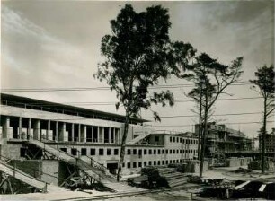 KdF-Bauten, Rügen, 1937-1938
