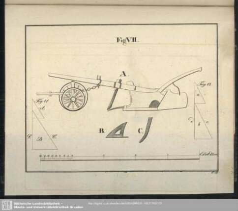 Fig VII