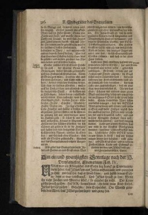Am ein und zwantzigsten Sonntage nach der H. Dreyfaltigkeit. Evangelium Joh. IV.