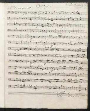 Basso