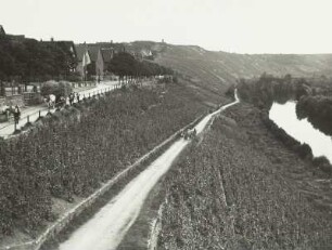 Besigheim. Weinbau an der Enz : Besigheim. Weinbau am Hochufer der Enz. Blick flußauf mit dörflicher Vorortbebauung