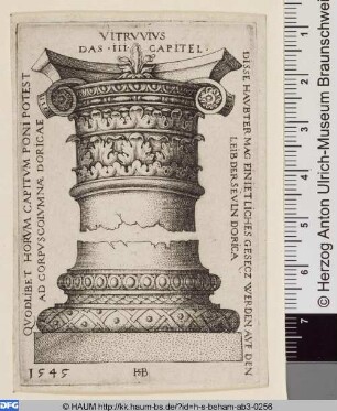 Kapitell und Basis einer Säule
