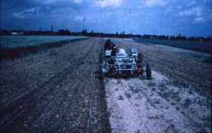 Fotografie: Pflegegerät, Hackmaschine, Zuckerrübe, Geräteträger, Zwischenachsanbau