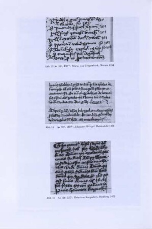 Abb. 14. Aa 107,138vb: Johannes Helrigel, Heidenfeld, 1456