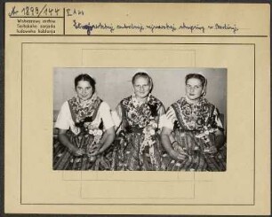 Die Mädchen des Sorbischen Jugendensembles der Sorbischen Oberschule Bautzen beim III. Festival der Jugend und Studenten im August 1951 in Berlin. : Holcy prěnjeje serbskeje kulturneje brigady Serbskeje wyšeje šule w awguscé w Berlinje 1951.