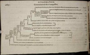 Sciagraphia Commentationis de vi compulsiva.