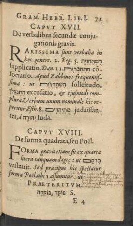 Caput XVIII. De forma quadrata, seu Poël.