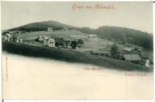 Bärenfels. Villa Missnia, Pension Burger