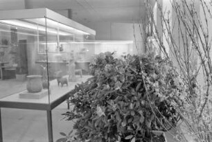 Karlsruher Blumenschau "Frühling ´78" im Badischen Landesmuseum