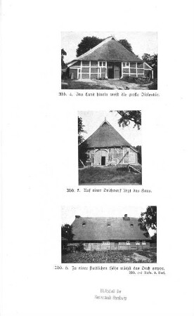 Abb. 5. Auf einer Deichwarf liegt das Haus.
