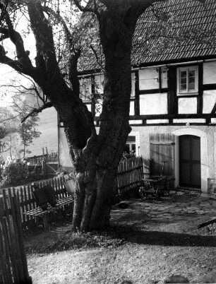 Schönfeld (Thermalbad Wiesenbad-Schönfeld), Nr. 41. Wohnstallhaus. Eingangsseite (Teilansicht)