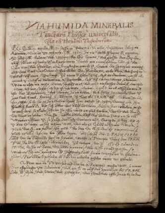 Via humida mineralis Tinctura Physicae universalis