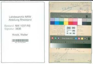Entnazifizierung Walter Krock , geb. 01.01.1903 (Verw.Sekretaer)