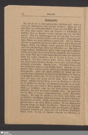 Kulturbild