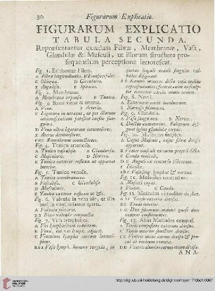 Figurarum explicatio: Tabula secunda