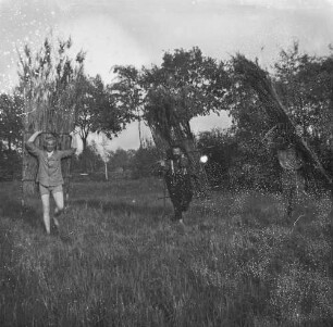 Familienbilder : Rudolf Zimmermann transportiert mit zwei anderen Männern Teile eines Fotoverstecks, Pfingsten 1932