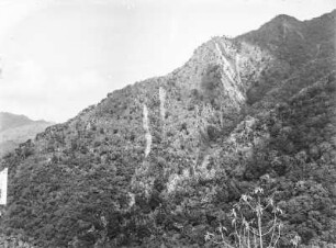 Gebirgslandschaft : Vegetationslandschaft eines Gebirges