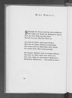Eine Scholle.