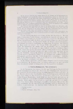 2. Unterhautbindegewebe, Tela subcutanea.