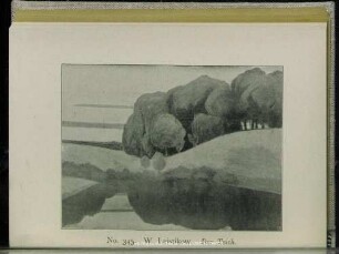 No. 345. Der Teich