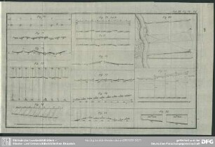 Tab. IIII, Fig. 70 - 82