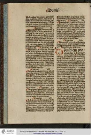 Danielem prophetam iuxta etc. Proprietatibus id est figuris...