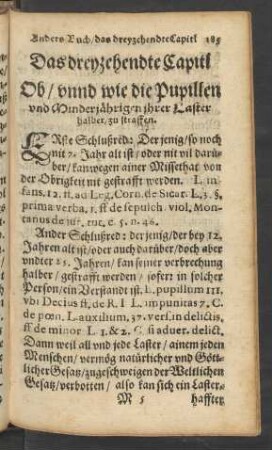 Das dreyzehendte Capitl