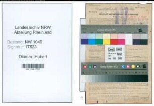 Entnazifizierung Hubert Diemer , geb. 08.06.1911 (Arzt)