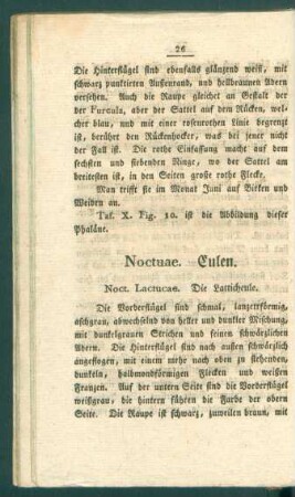 Noctuae. Eulen.