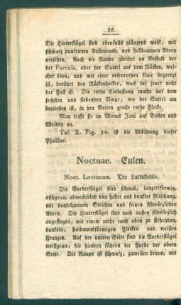 Noctuae. Eulen.