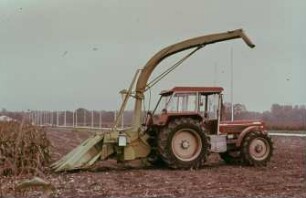 Fotografie: Erntetechnik, Silomais, Feldhäcksler, Maishäcksler angebaut, Rückfahreinrichtung