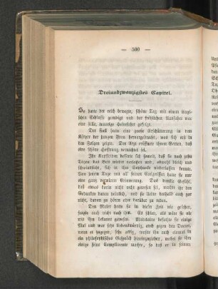 Dreiundzwanzigstes Capitel.