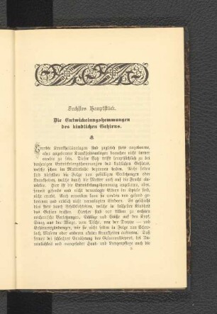 Sechstes Hauptstück. Die Entwickelungshemmungen des kindlichen Gehirns.
