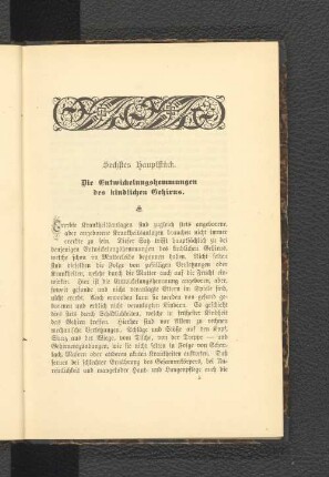 Sechstes Hauptstück. Die Entwickelungshemmungen des kindlichen Gehirns.