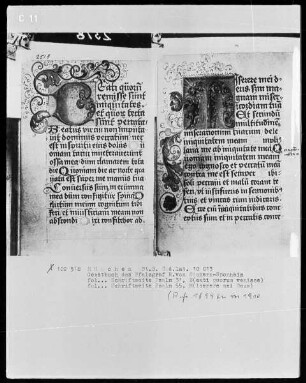 Die sieben Bußpsalmen - Gebetbuch des Pfalzgrafen Richard von Simmern-Sponheim — Initiale B (eati) und Initiale M (iserere)
