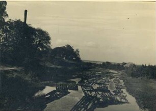 Fotografie, Driesen (Drezdenko)