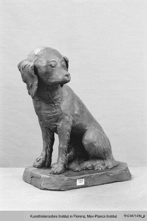 Sitzender Hund - Cane sedente